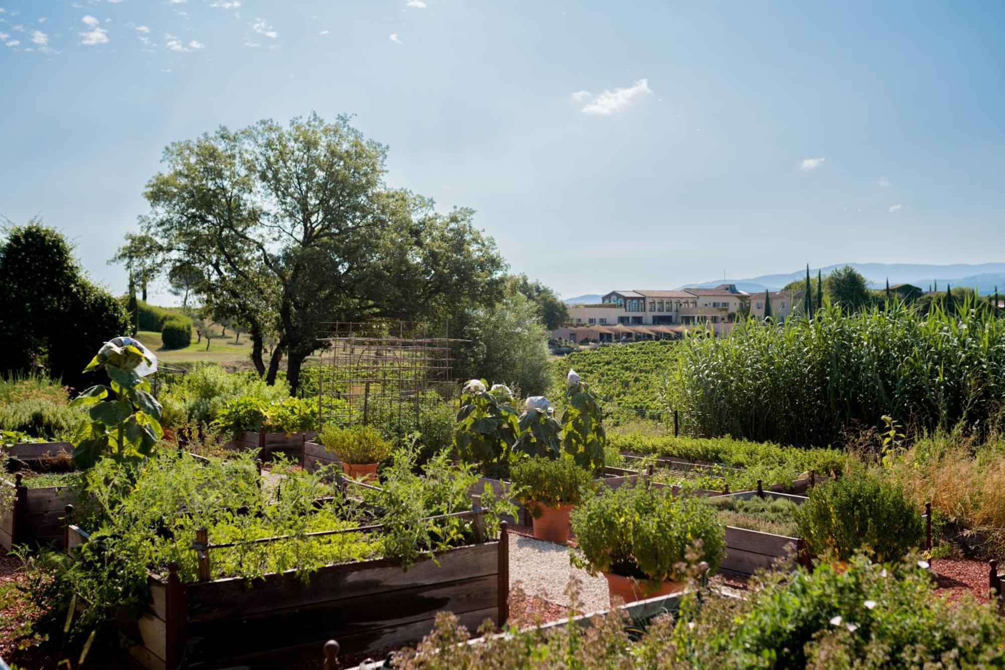 Coquillade Provence Hotel Gargas  Luaran gambar
